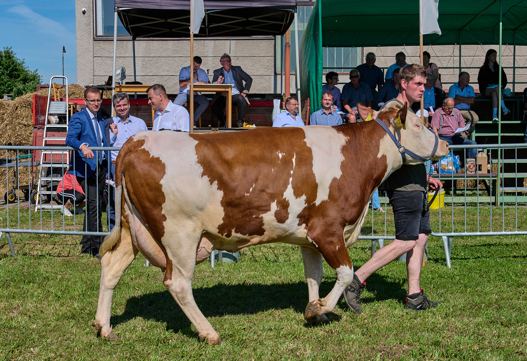 Ilustrační foto z výstavy v roce 2024